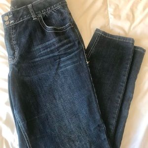 Lane Bryant High Rise Skinny Jeans T3 Technology
